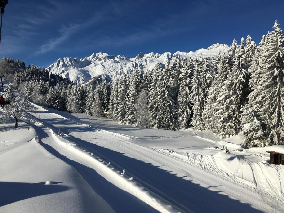 Chalet Confidentiel Valmorel - Chalet De Haut De Gamme 4 Etoiles 12 Personnes Doucy Ngoại thất bức ảnh